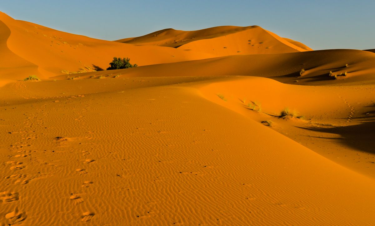 Sunlit orange sand dunes under a clear sky